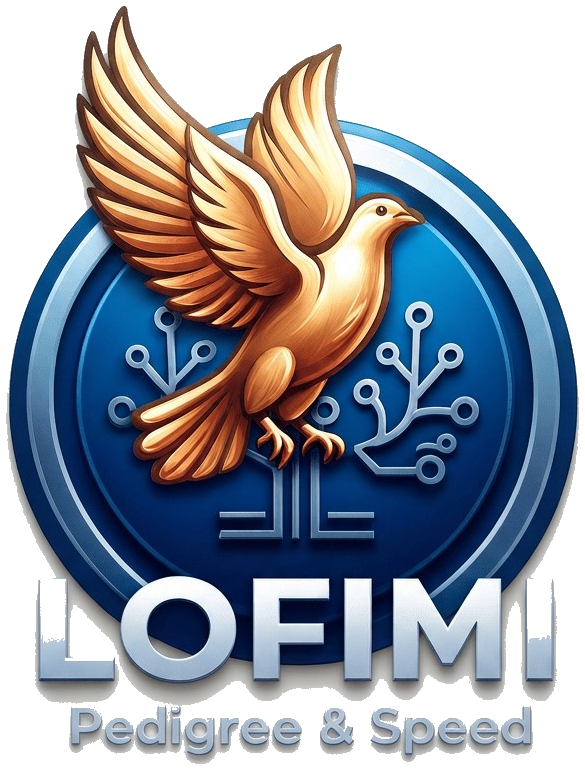 LOFIMI